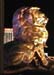 lv_mgm_lion_gold