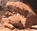 mv_moses