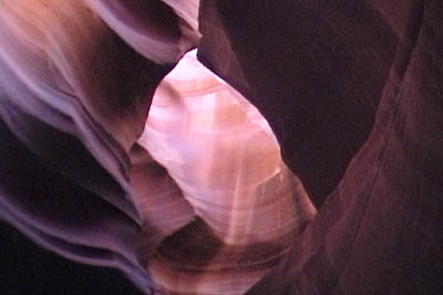 page_antelope08
