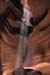 page_antelope11