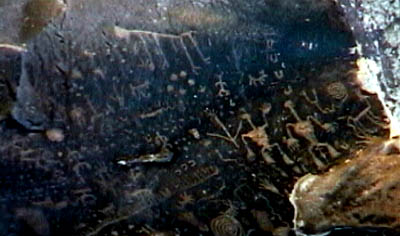 paint_petro4