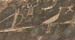 paint_petro2