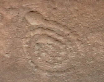 ruins07_wupatki_petroglyph