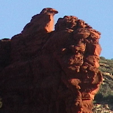 sed_pink09_bird_rock