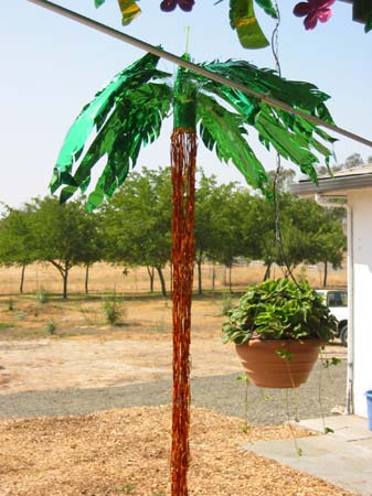 palm_tree