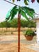 palm_tree