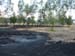 fire11_devastation4
