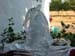 ice_dolphins1