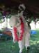 porch_decorations2